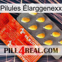 Pilules Élarggenexx new01